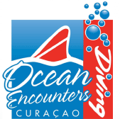 oceanencounters
